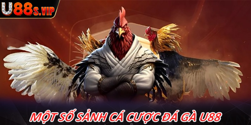 Điểm danh các sảnh game đá gà U88 được ưa chuộng nhất hiện nay 